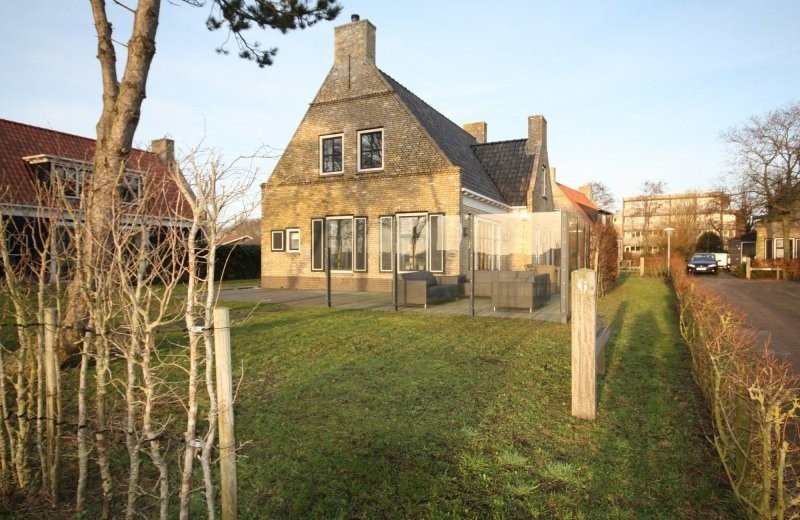 Parel van Nes 06, Goudhaantje