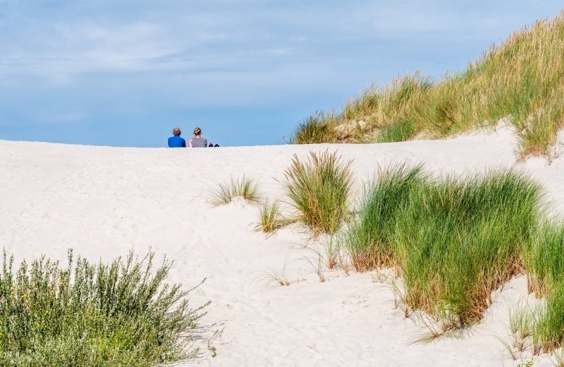 Dwars door de duinen